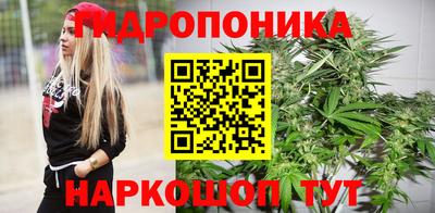 крисы Комсомольск-на-Амуре