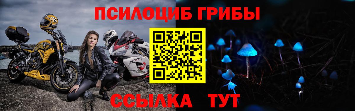 Галлюциногенные грибы мицелий  Вход с VPN  дарнет шоп  Кузнецк  Псилоцибиновые грибы мухоморы 